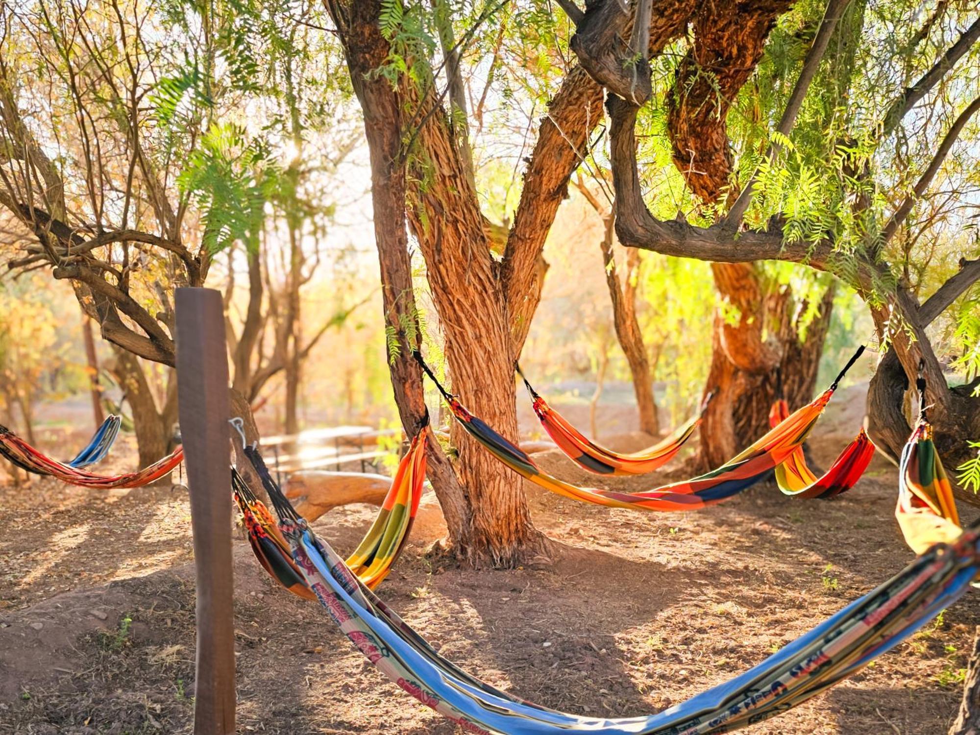 Lodge Ancar Atacama Сан-Педро-де-Атакама Екстер'єр фото